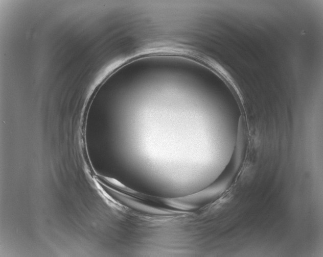 X0000081621485200701151418