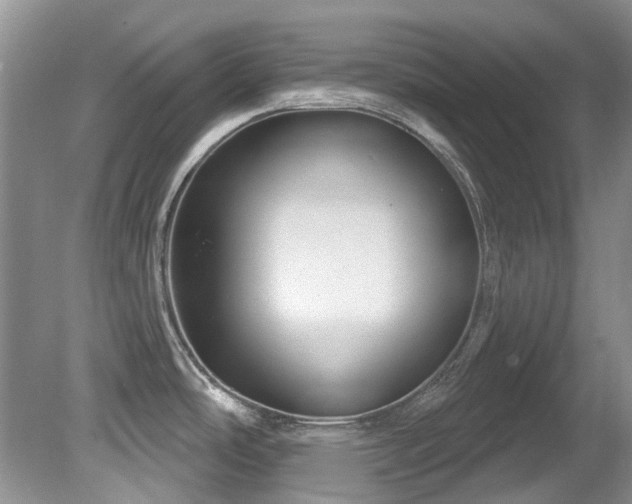 X0000081621486200701151418