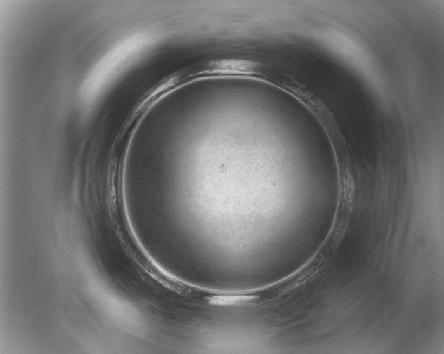X0000081621487200701151418