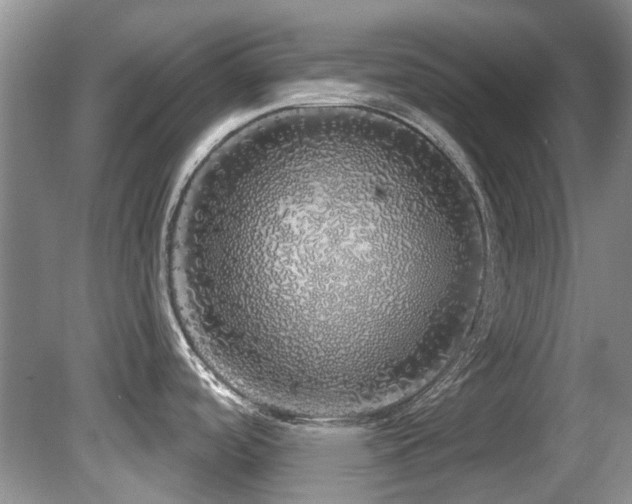 X0000081621488200701151418