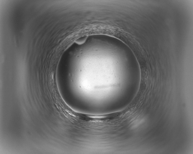 X0000081621489200701151417