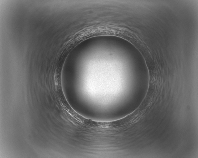 X0000081621490200701151417