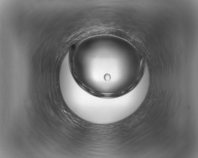X0000081621492200701151417
