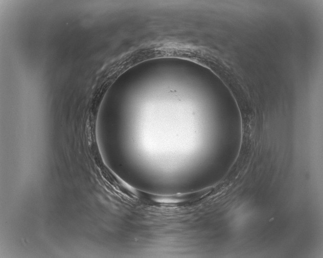 X0000081621493200701151417