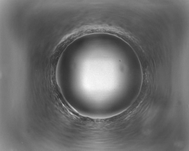 X0000081621494200701151417