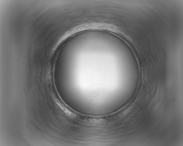 X0000081621498200701151418