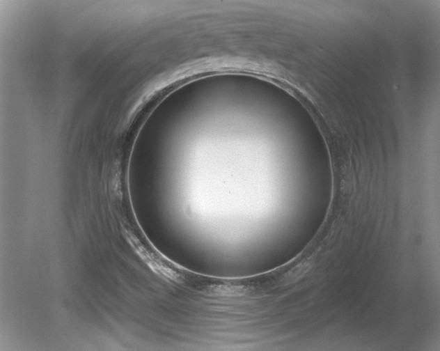 X0000081621499200701151418