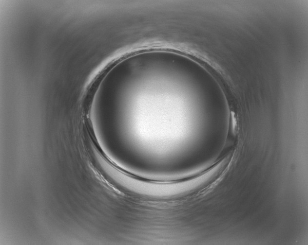 X0000081621502200701151418