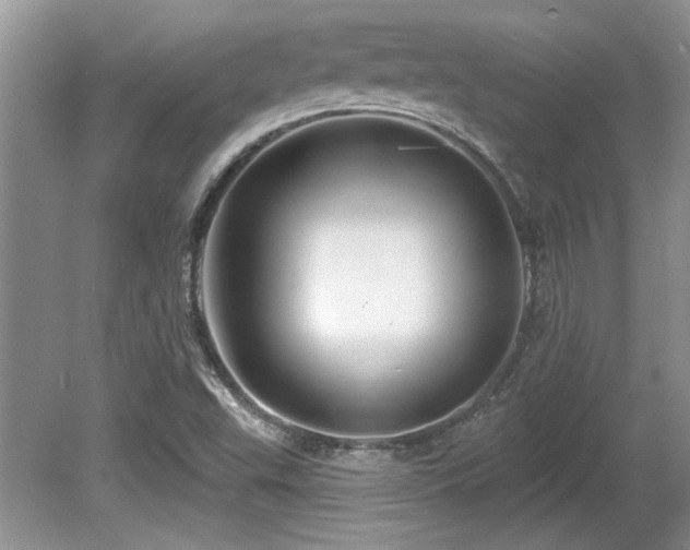 X0000081621503200701151418