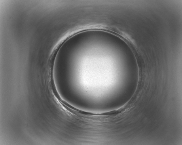 X0000081621504200701151418