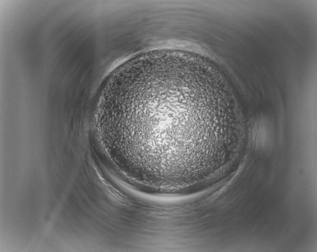 X0000081621505200701151418