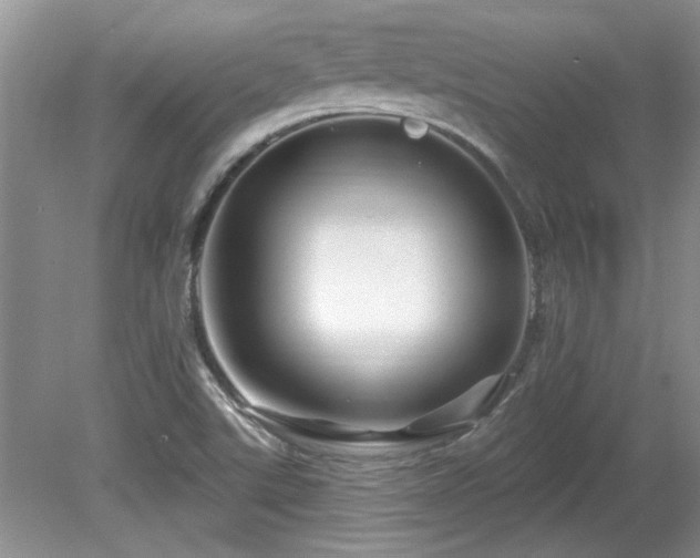 X0000081621507200701151418