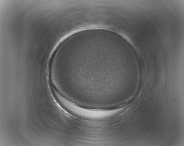 X0000081621508200701151418