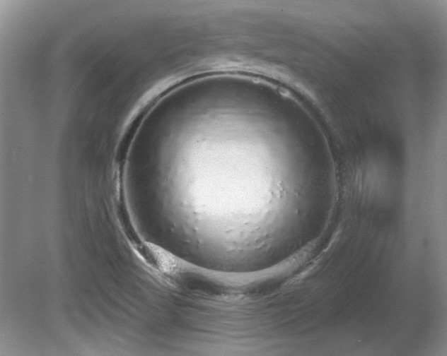 X0000081621509200701151418