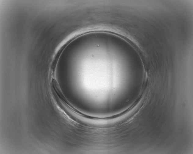 X0000081621510200701151418