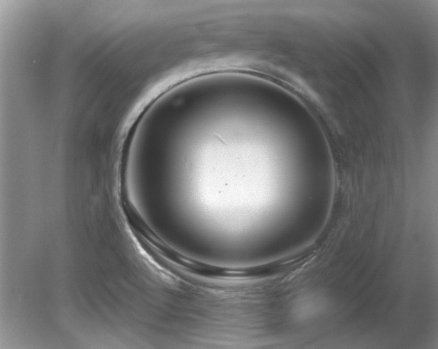 X0000081621512200701151418