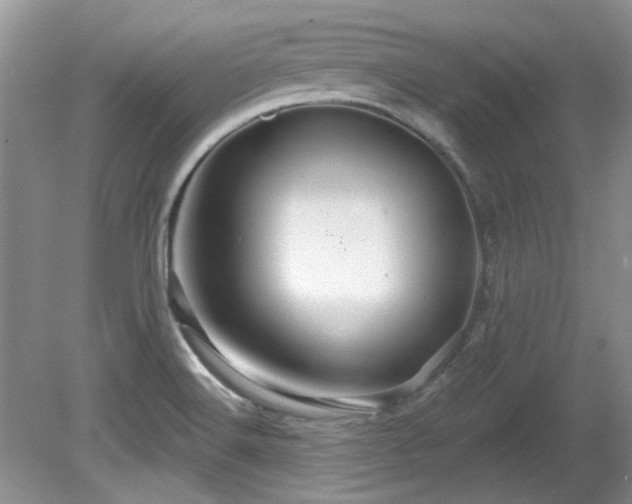 X0000081621516200701151418