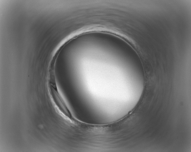 X0000081621518200701151418