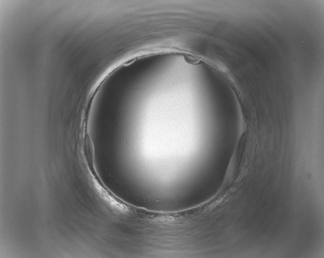 X0000081621524200701151418