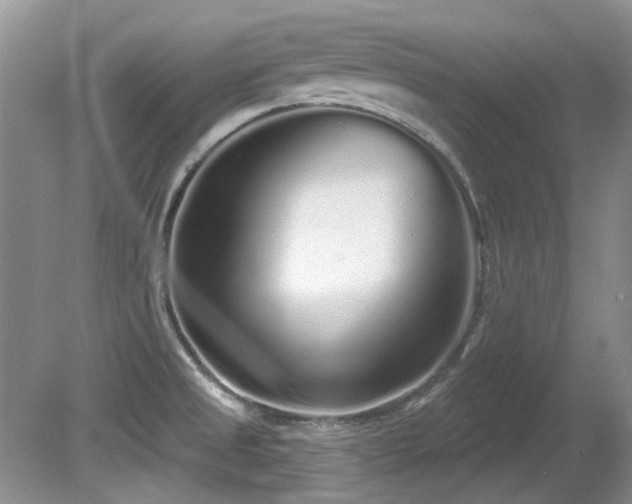 X0000081621525200701151418