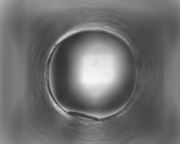 X0000081621526200701151418
