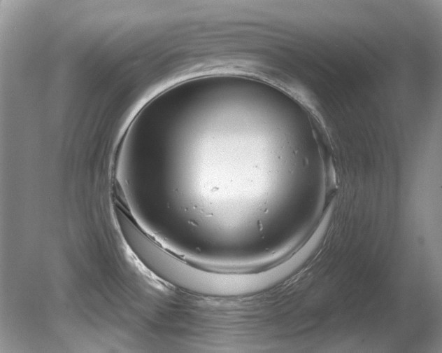 X0000081621532200701151418