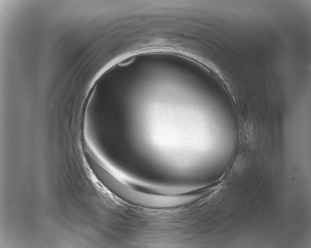 X0000081621534200701151418