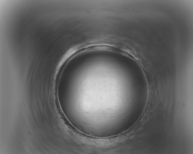 X0000081620006200701221240