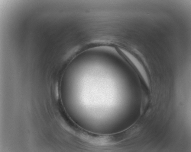 X0000081620020200701221240