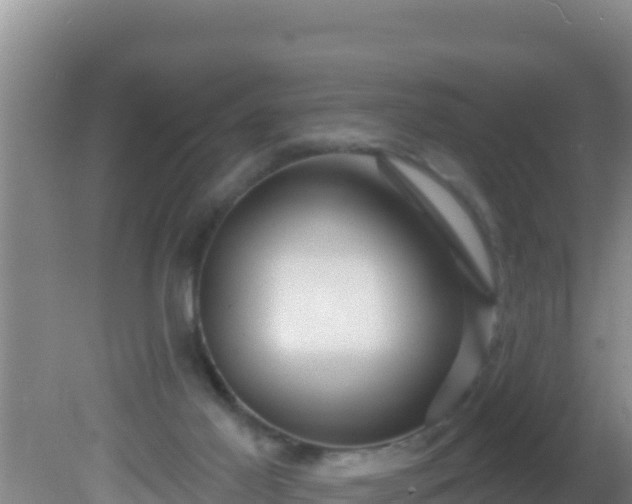 X0000081620021200701221240