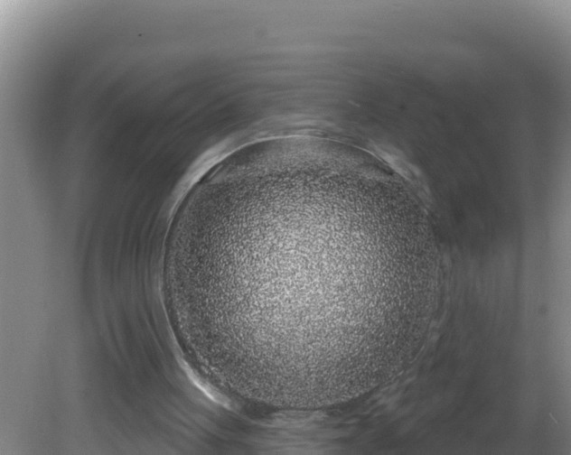 X0000081620051200701221238