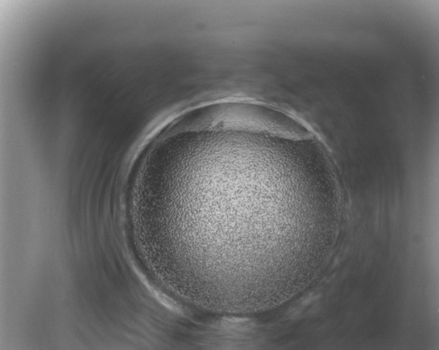 X0000081620055200701221238