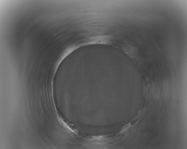 X0000081620100200701221238