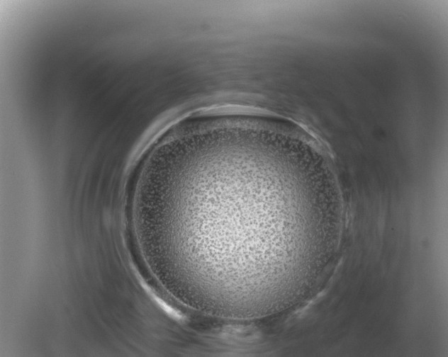 X0000081620101200701221238