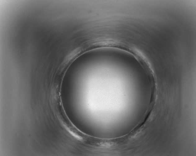 X0000081620105200701221238