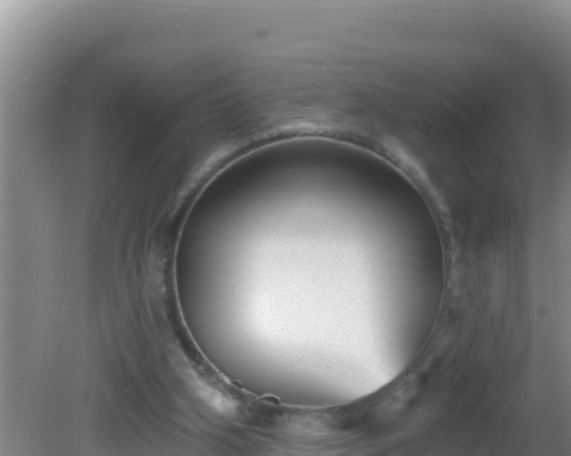 X0000081620106200701221238