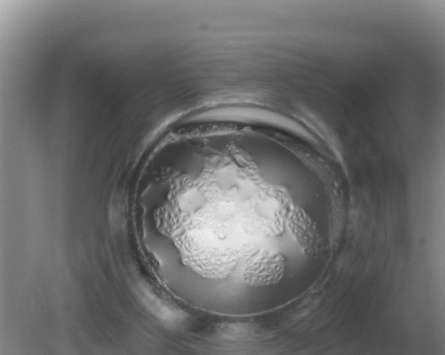 X0000081620107200701221238