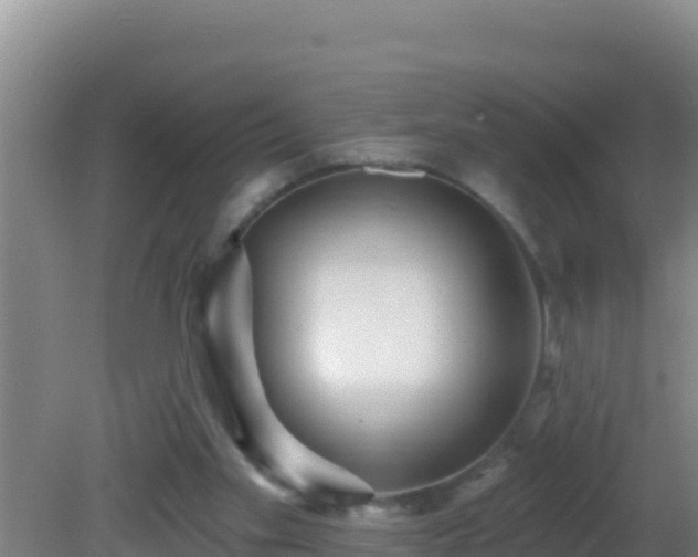 X0000081620109200701221238