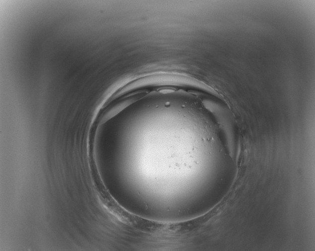 X0000081620148200701221237