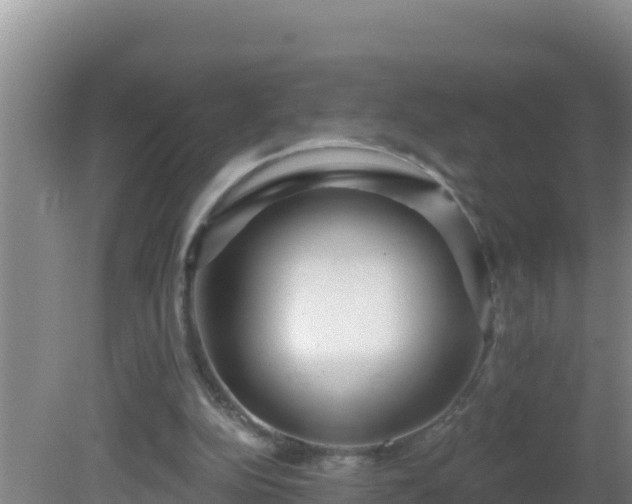 X0000081620152200701221237