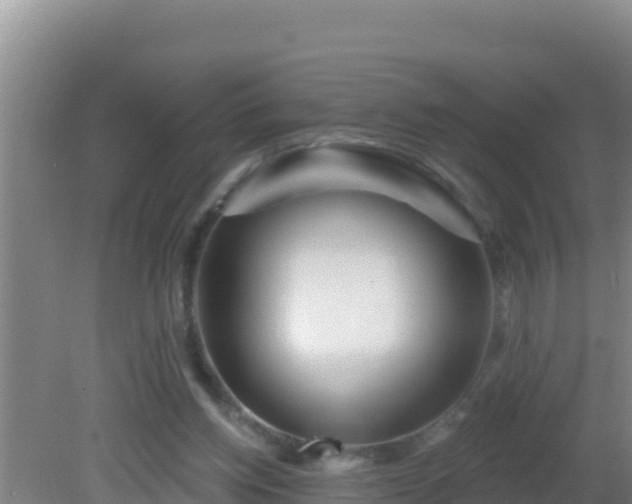 X0000081620158200701221237