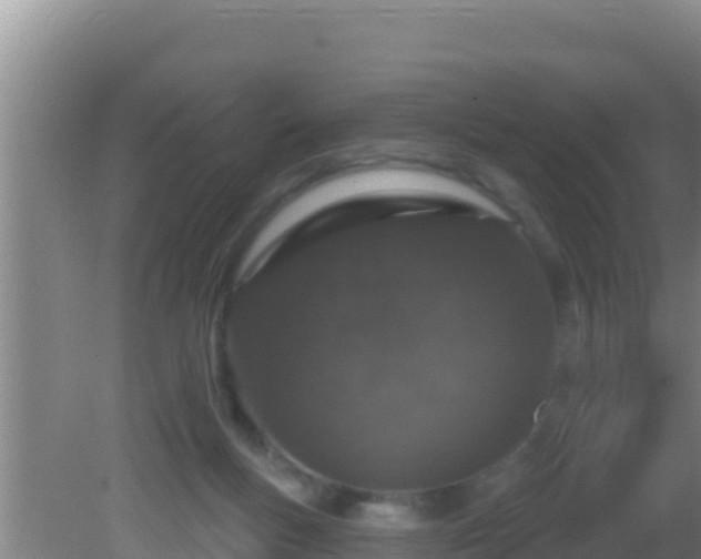 X0000081620167200701221237