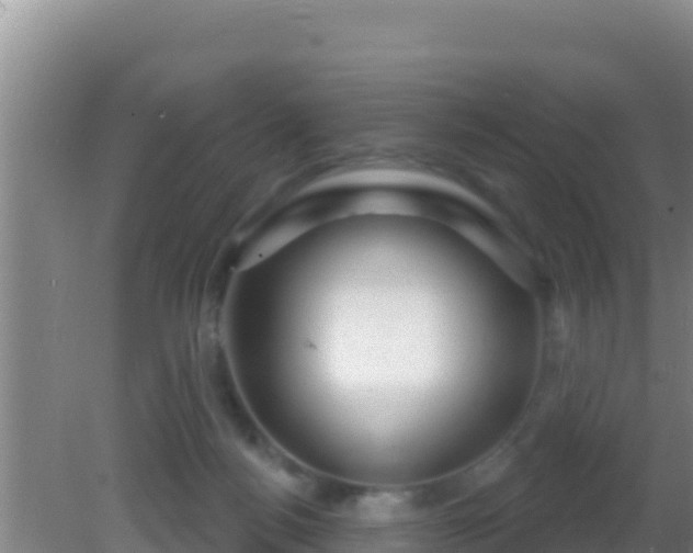 X0000081620172200701221237