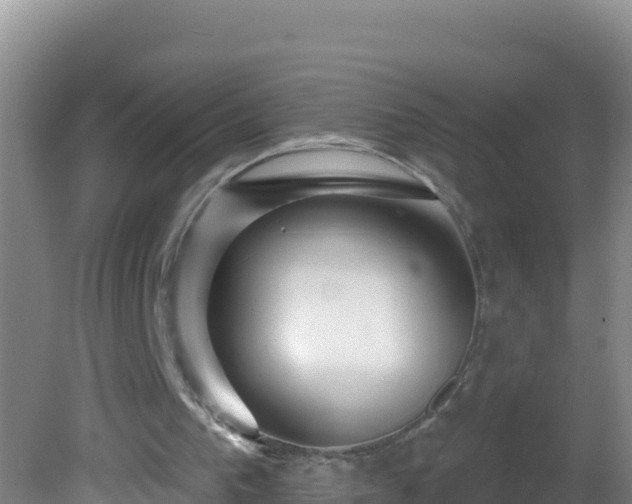 X0000081620193200701221237