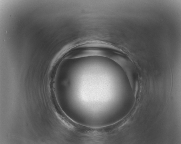 X0000081620197200701221237