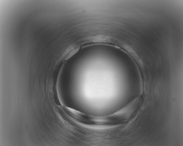 X0000081620201200701221237