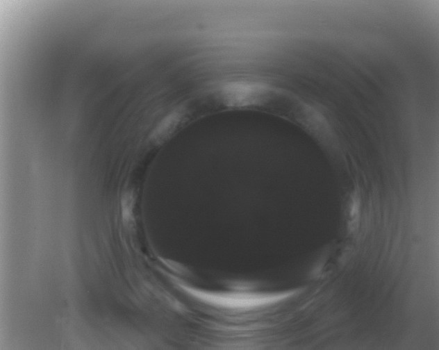 X0000081620219200701221236