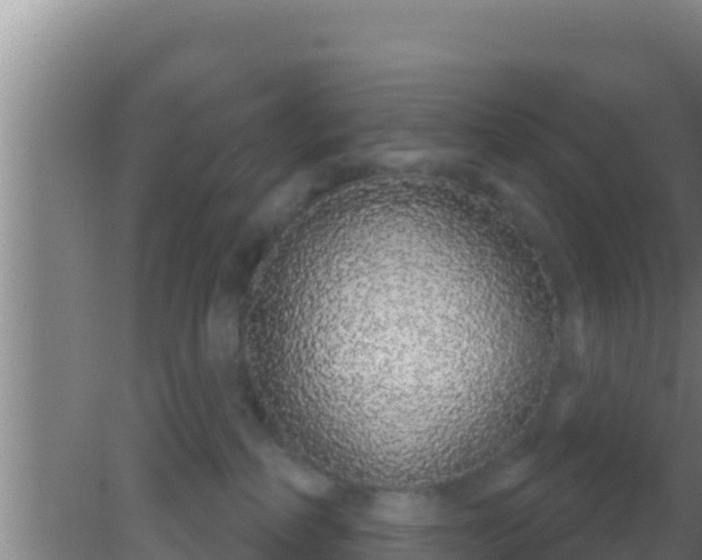 X0000081620234200701221236
