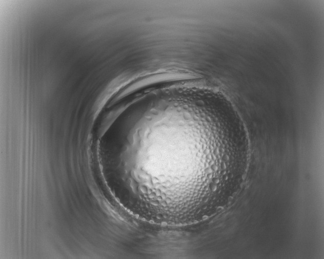 X0000081620242200701221235