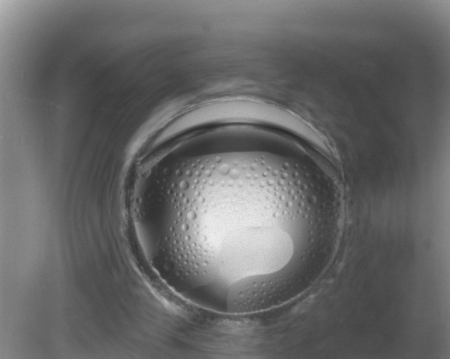 X0000081620245200701221235